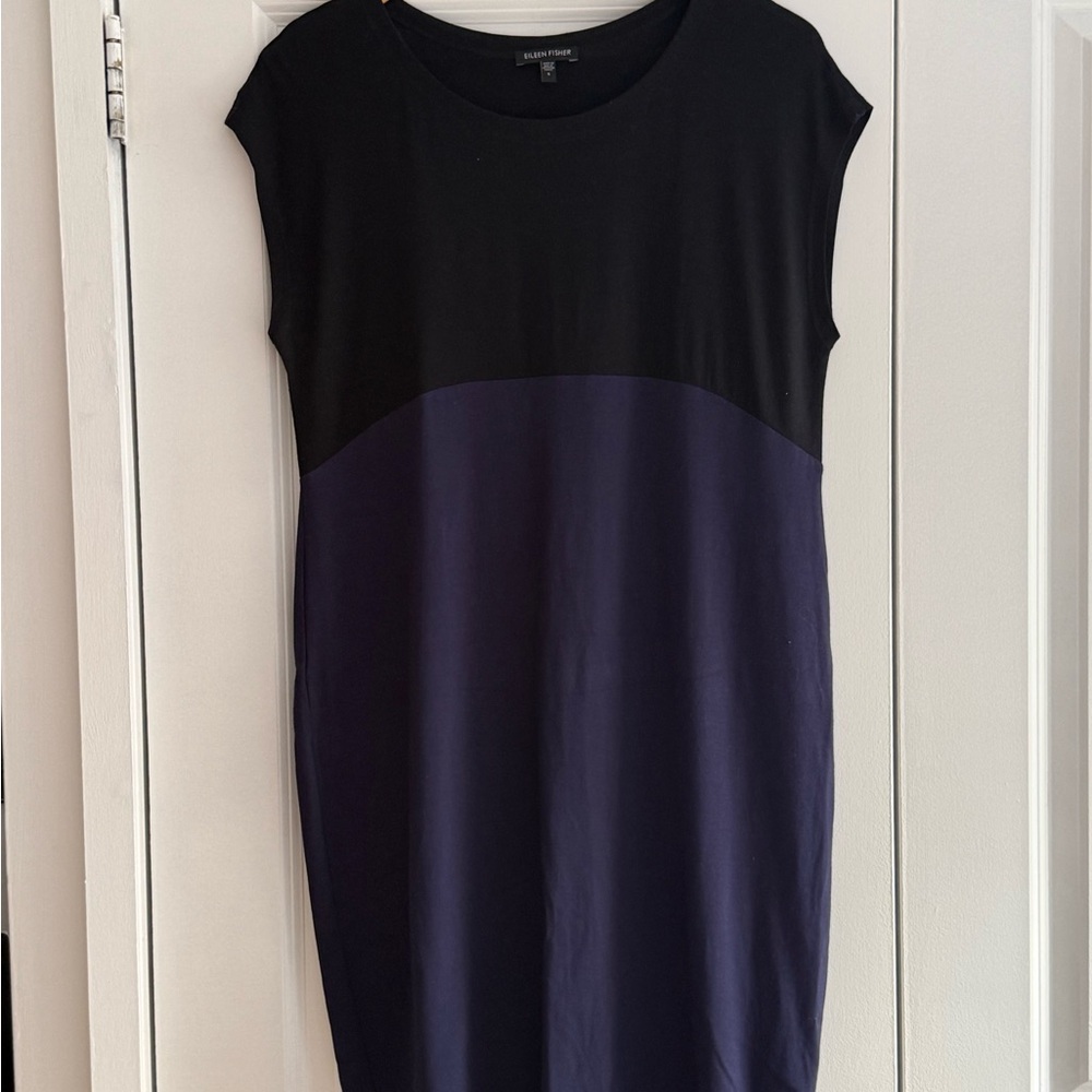 Eileen Fisher Color Block Dress